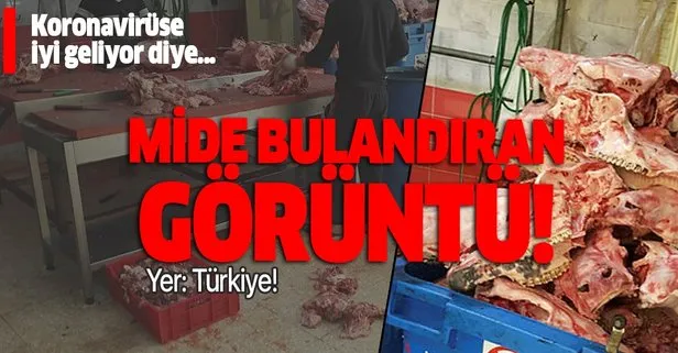 Adana’da mide bulandıran görüntü! Tonlarca kaçak kelle paça koronavirüse iyi geliyor diye vatandaşa yedireceklerdi!
