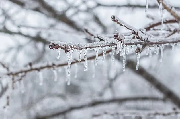 Son dakika: Meteoroloji'den 4 ile don uyarısı!