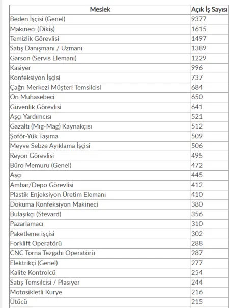47 bin 785 personel alınıyor! İşte o meslekler ve açık iş ilanları-2