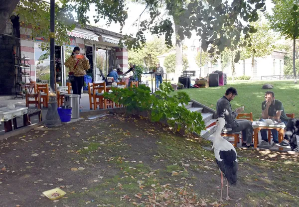 tekirdagda-suruden-ayrilan-leylege-bedesten-carsisi-esnafi-sahip-cikti-1632405053998.jpg Tekirdağ'da sürüden ayrılan leyleğe Bedesten Çarşısı esnafı sahip çıktı-5