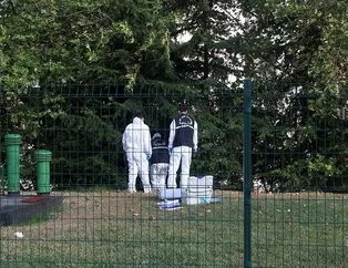 Ağaca asılı halde bulundu! Yer: İstanbul