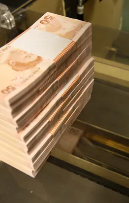 2017'de bankalarda 115 milyon lira unutuldu