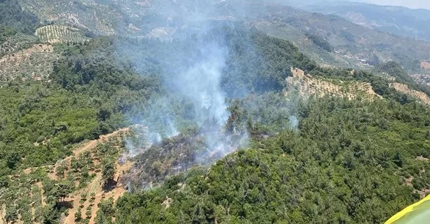Ege'de orman yangını! Aydın ve İzmir'de alevlere müdahale sürüyor