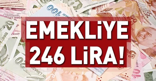 Emekliye 246 TL