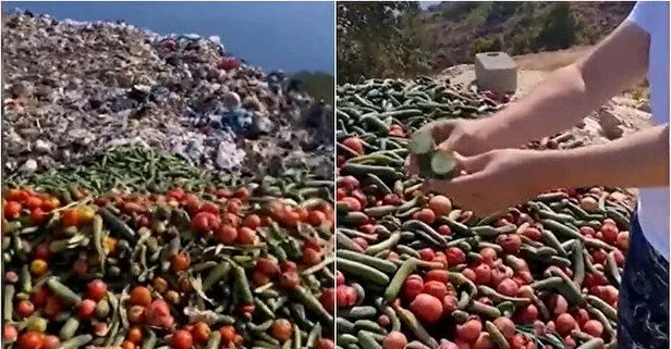 Antalya Gazipaşa’da tonlarca sebze boş arazide bulundu: Bu nasıl bir insanlıktır?