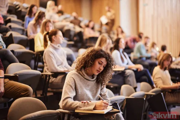 Zürih Üniversitesi'nden 17 bin kişilik araştırma: Yüksek eğitim ve aileyle yaşamak bekarlığı artırıyor - 3