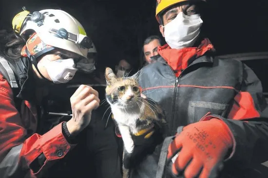 Acının merkez üssü! İzmir'deki Emrah Apartmanı 12 masuma mezar oldu...-21