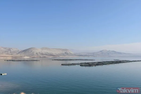 Yıllık kazançları 1 milyar TL! Deniz olmayan şehir Malatya'dan Avrupa ve Rusya'ya somon ihraç ediyorlar - 4