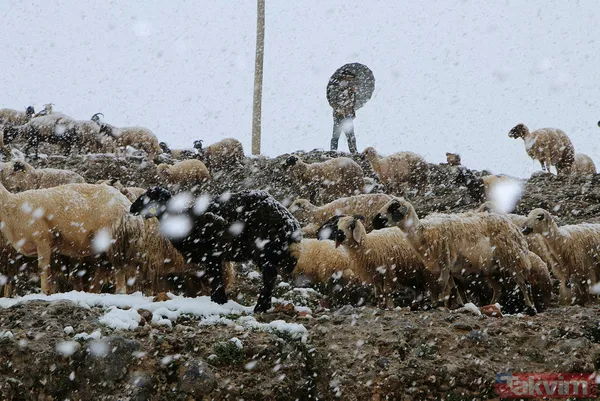 Mayıs ayının ortasında Van Bahçesaray'a 20 santimetre kalınlığında kar yağdı! Yazlık lastiği olanlar yolda kaldı besiciler zor anlar yaşadı - 16
