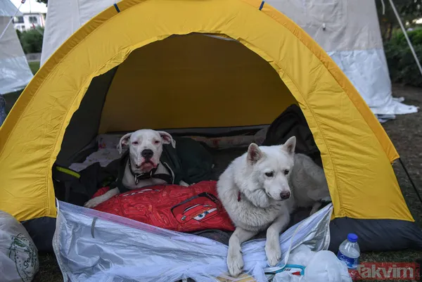 Devlet, milletini yalnız bırakmadı! İzmir'de depremin yaraları sarılıyor - 17