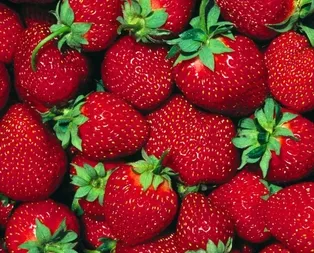 Çilek-yumurta-şeftali tatil hastalıkları bitti!