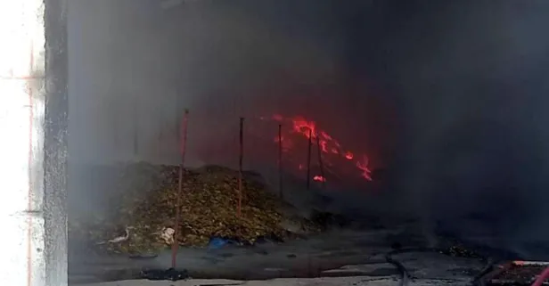 'Kuşum kaçtı' diyerek çatısına çıktığı fabrikayı yaktı