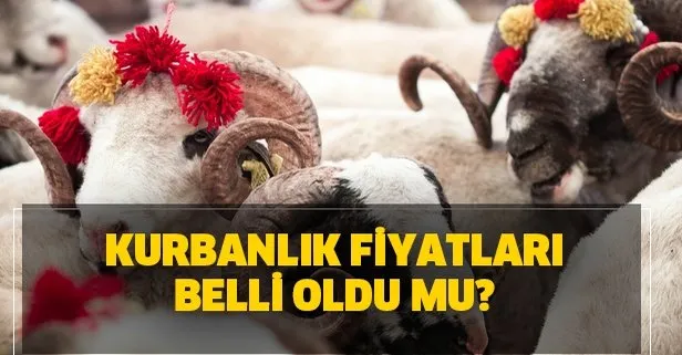 Kurbanlık fiyatları ne kadar? A101, Migros, Carrefoursa 2020 kurbanlık fiyatları belli oldu mu?