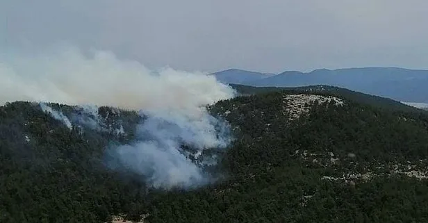 Son dakika: Muğla Milas’ta orman yangını! Havadan ve karadan müdahale edildi
