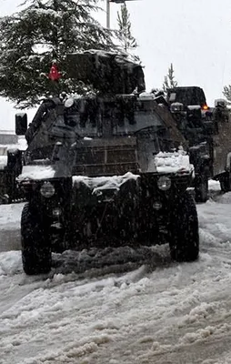 Bitlis'te terör operasyonu: 2 şehit