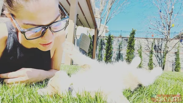 Demet Özdemir bahçenin ortasına sere serpe uzandı ortalık yıkıldı! Oğuzhan Koç’un müstakbel eşi “Isıracağım artık” deyip en cesur haliyle... - 17