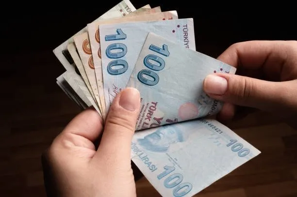 turkiye.gov.tr: BİRİMİŞ PARA SORGULAMA EKRANI | E-devlet birikmiş para çekme nasıl yapılır? - Takvim