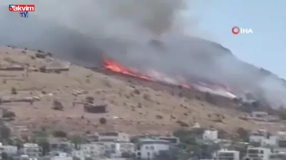 Türkbükü'nde yangın!