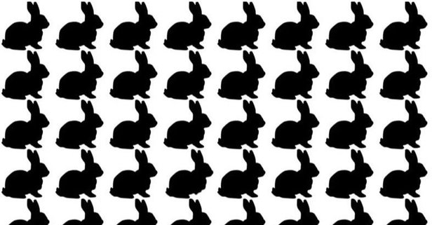 IQ testi: Resimdeki farklı tavşanı 10 saniye içinde bulabilir misin? Yalnızca süper zekaya sahip olanlar bulabiliyor