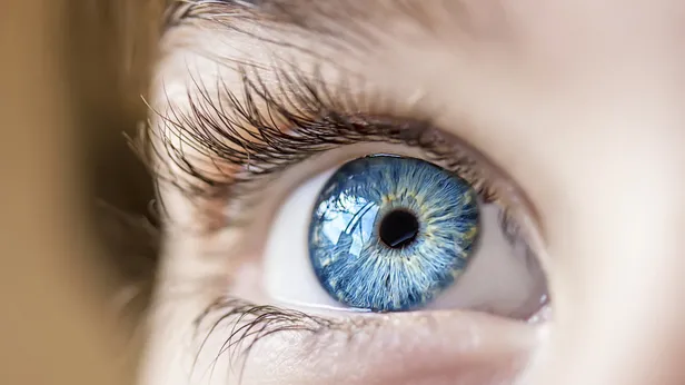 Göz kapağının sağ sol iç kısımlarındaki bu delik bakın ne işe yarıyormuş