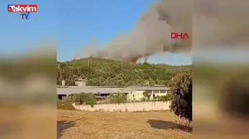 İzmir’de orman yangını