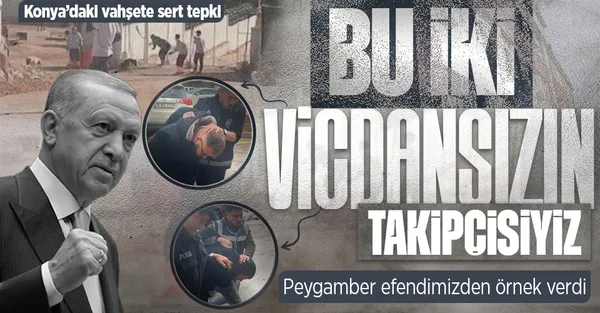 Bir yanda vahşet diğer yanda merhamet! Biri köpeği öldürmeye çalıştı biri kurtardı-9