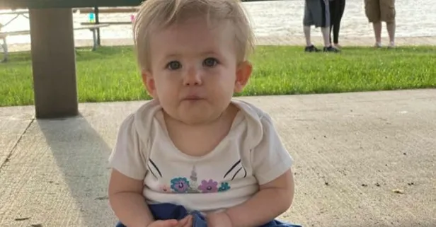 abd de pitbull vahseti 17 aylik bebegi