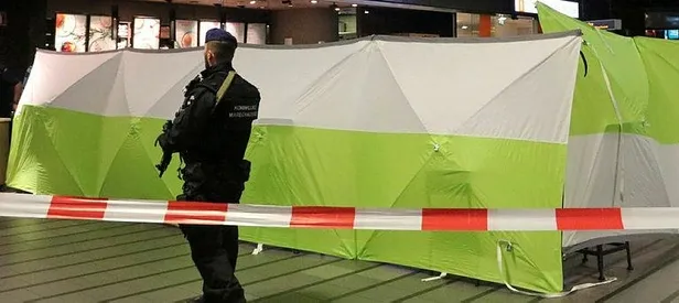 Hollanda'da bıçaklı saldırı dehşeti