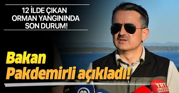 Son dakika:  12 ilde çıkan orman yangınında son durum! Bakan Pakdemirli açıkladı