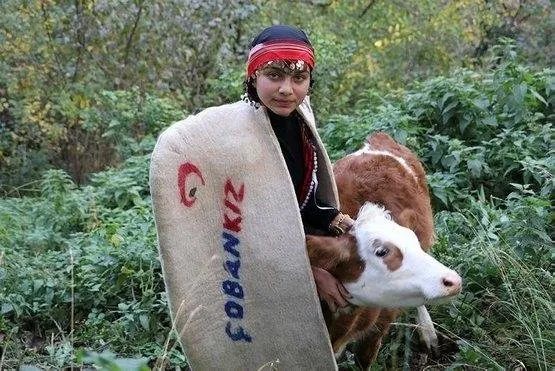cumhuriyet resepsiyonu
