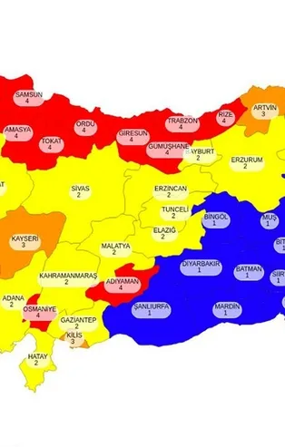 İşte koronavirüs risk haritasındaki "mavi" rengin sırrı! Siirt'te sürü bağışıklığı...