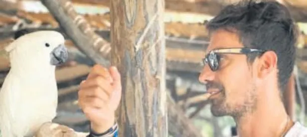 Doğal damat iş başında