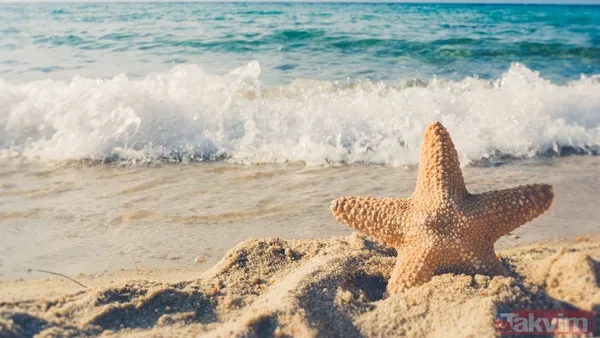 Yüksek Otel Fiyatları, Uçuk Ulaşım Masrafları Ve Cep Yakan Yeme-İçme Giderleri Derken Tatil Yapmak Öğrenciler İçin İmkansız Gibi Görünebilir. Ancak Türkiye'nin...