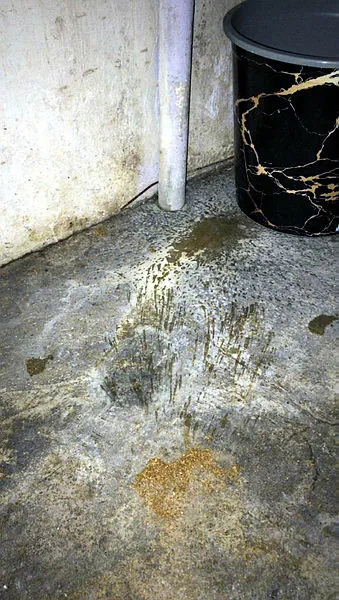 Adana'da uyuşturucu satıcılarına operasyon! Dizi oyuncusu da gözaltında-3