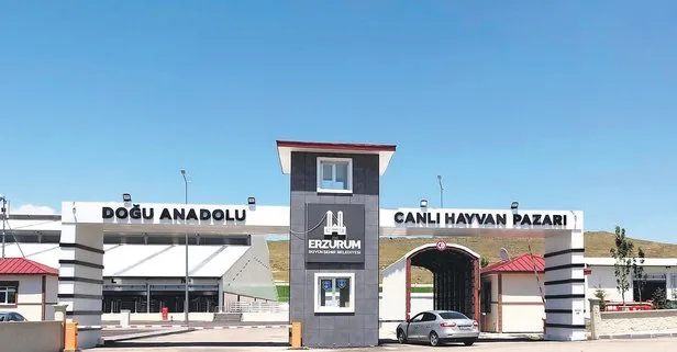 Tarıma büyük destek! Erzurum’da ithalatı bitirecek yatırım: Tamamen organik üretim yapacak