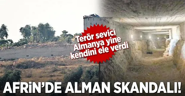 Alminya