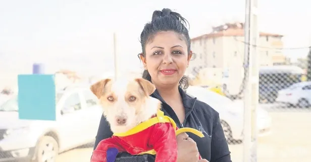 Yer: Hatay... Ares depremi önceden hissetti sahiplerinin hayatını kurtardı