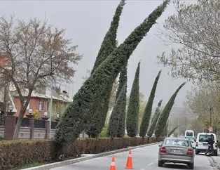 Saatte 60 km! Uçacağız! Meteoroloji o bölgeleri uyardı