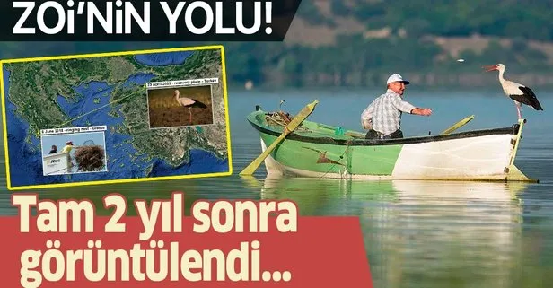 Kayıp leylek ‘Zoi’, 2 yıl sonra Bursa’da ortaya çıktı!