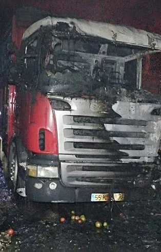 Mersin Erdemli'de domates yüklü kamyon yandı! Kamyon sürücüsünün ihbarı ile itfaiye ekipleri olaya müdahale etti