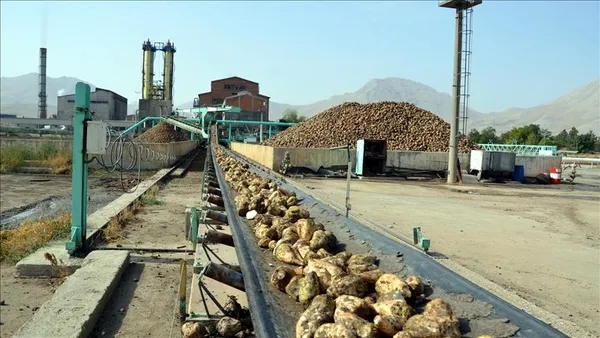 1609162490921.jpg 2020 rekorların senesi oldu! Bakan Pakdemirli rakamları açıkladı-4