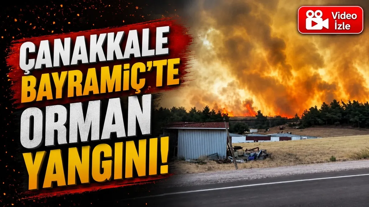 Çanakkale Bayramiç'te orman yangını!