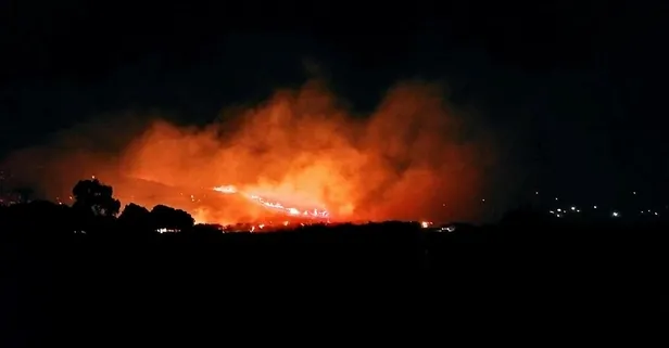 Aydın Söke'de orman yangını! Alevler yükseldi