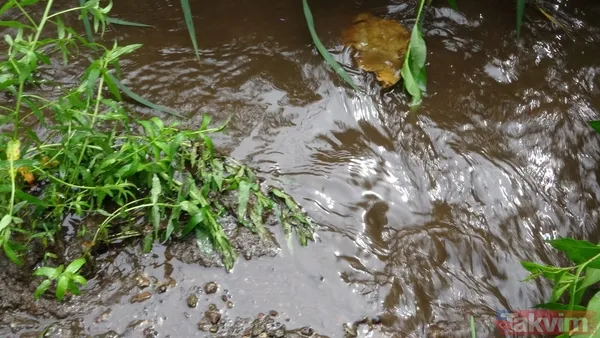 İSKİ'nin son skandalı! Kanalizasyon suları Ömerli Barajı'na akıyor - 4