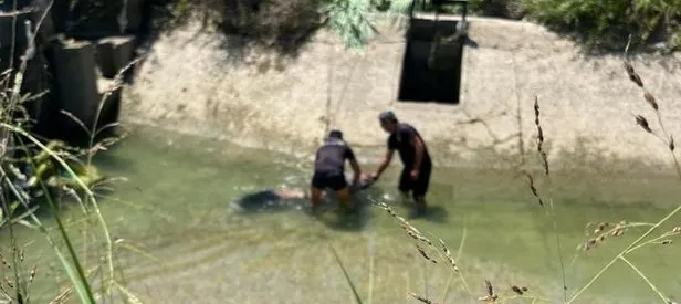 Sulama kanalında ceset bulundu