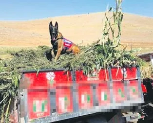 Caka’dan zafer pozu