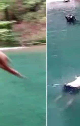 Taşa geldi, felç kaldı