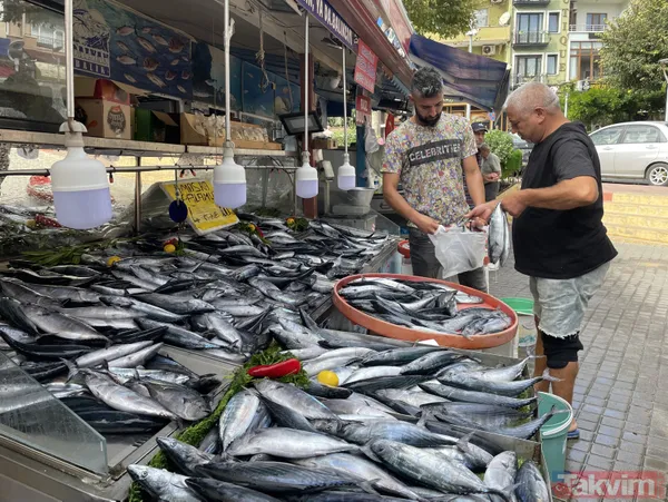 Denizden palamut fışkırdı! Tanesi 20 liraya düştü! Vatandaşın ve esnafın yüzü gülüyor - 5