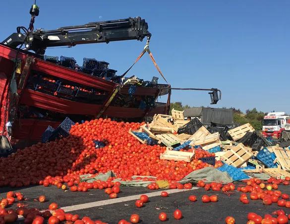 TEM’de feci kaza! Tonlarca meyve ve sebze yola saçıldı
