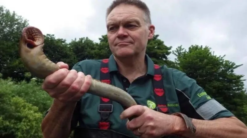 Bu canlıyı gören şok geçiriyor! 300 tane dişiyle kanla besleniyor! Uzmanlar uyardı-3